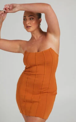 Showpo Cianna Panelled Mini Dress In Camel 15 Showpo Cianna Panelled Mini Dress In Camel -Showpo Women's Clothing Store 29.09.21 Mikayla x Lucy x Anthony10568
