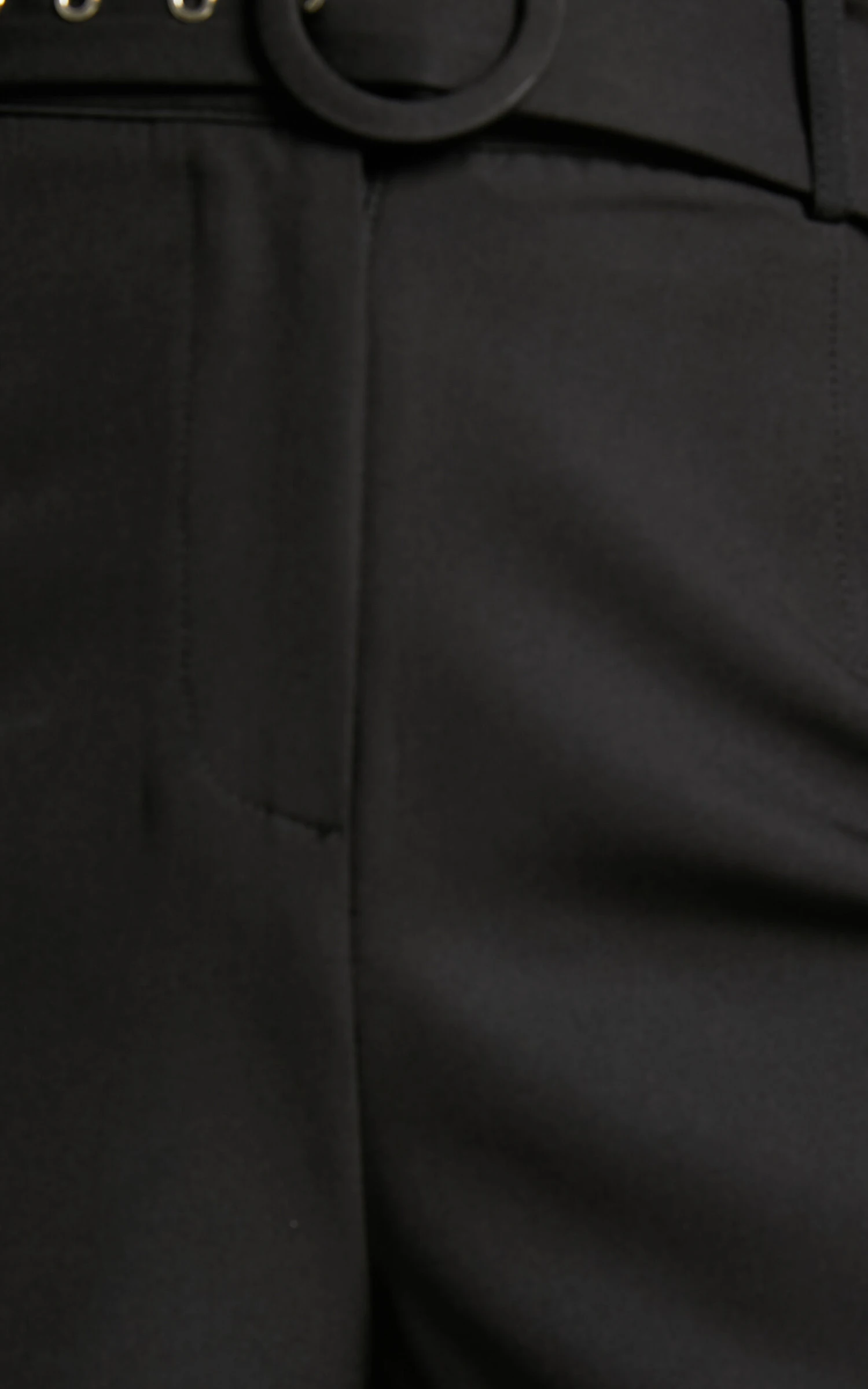 Showpo Armanda Shorts - High Waisted Belted Shorts In Black 9 Showpo Armanda Shorts - High Waisted Belted Shorts In Black - Image 9