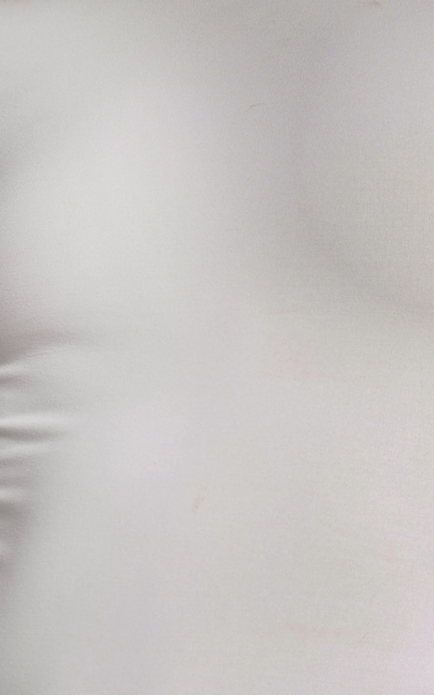 Showpo Ermalen Bodysuit - High Neck Long Sleeve Bodysuit In Stone 10 Showpo Ermalen Bodysuit - High Neck Long Sleeve Bodysuit In Stone - Image 10