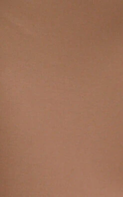 Showpo Margot Flared Pants In Camel 16 Showpo Margot Flared Pants In Camel -Showpo Women's Clothing Store FABRIC MIKAYLA X LUCY X ANTHONY 01.11.2135162