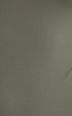 Showpo Maychie Spaghetti Strap Bodysuit In Khaki -Showpo Women's Clothing Store Maychie skinny strap bodysuit in Khaki 2528ST22010030052529 6