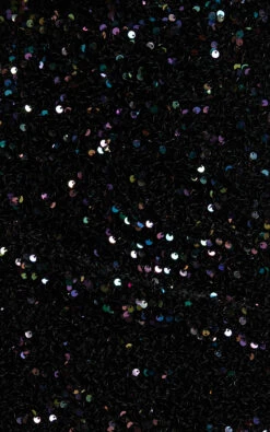 Showpo Tracy Sequin Mini Skirt In Black -Showpo Women's Clothing Store Tracy Sequin Mini Skirt in Black 9